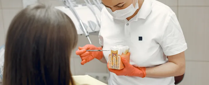 Why Must You Opt for a Timely Root Canal Procedure? Why Must You Opt for a Timely Root Canal Procedure?